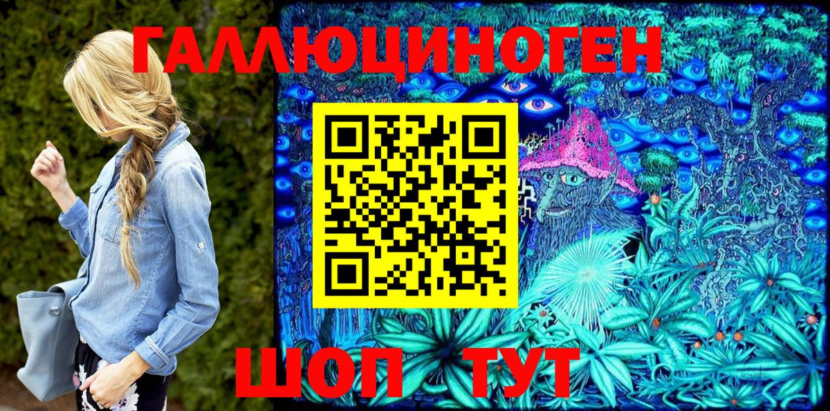 Псилоцибиновые грибы Psilocybe  Вход с VPN  Новоалтайск 