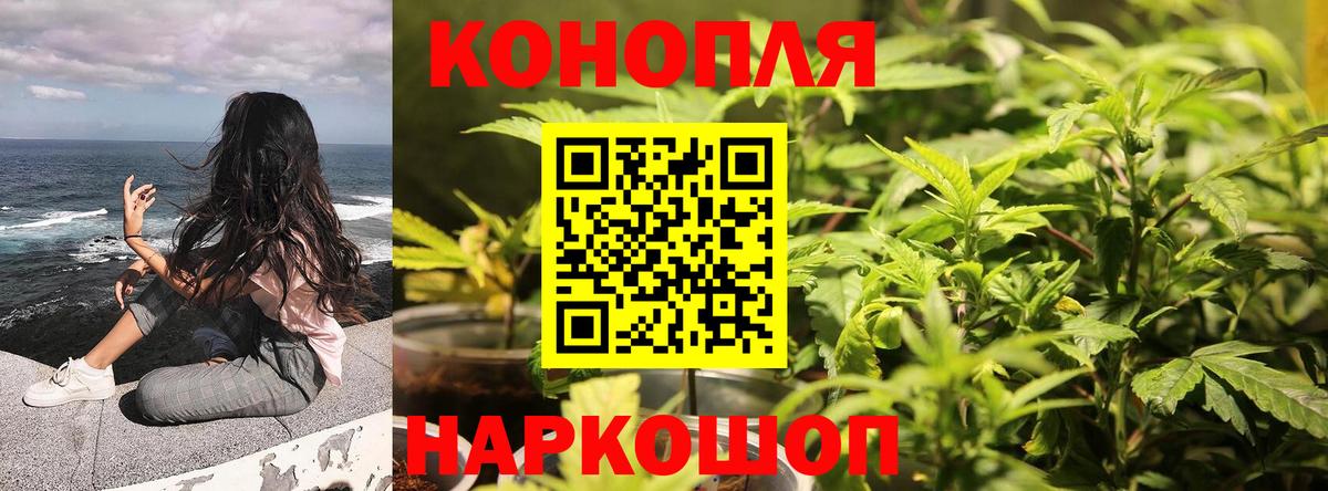 Канабис марихуана Новоалтайск